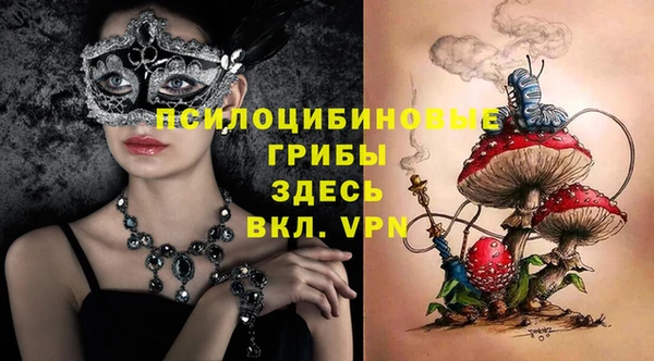 прущие грибы Алексин
