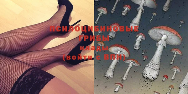 соль ск Абаза