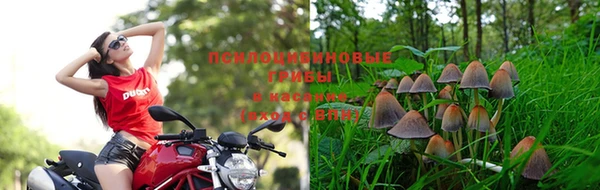 мдпв Абдулино