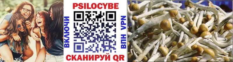 площадка формула Райчихинск Галлюциногенные грибы Cubensis