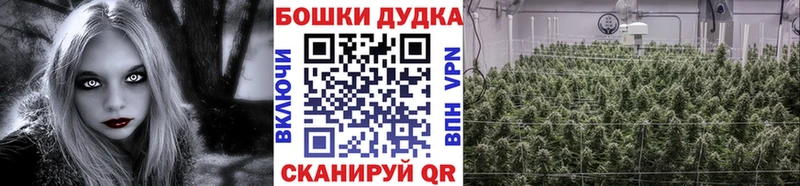 ссылка на мегу зеркало  где найти наркотики  Райчихинск  Бошки Шишки VHQ 